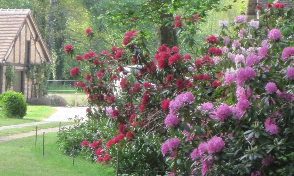 Isdes House | La Framboisière - Maison Blanche Sologne