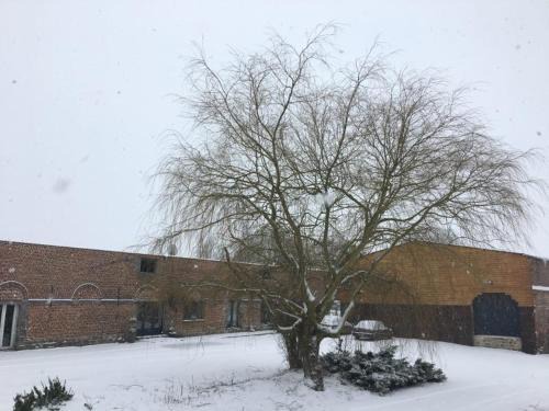 Louvignies-Quesnoy Apartment | La gaîté de louvignies