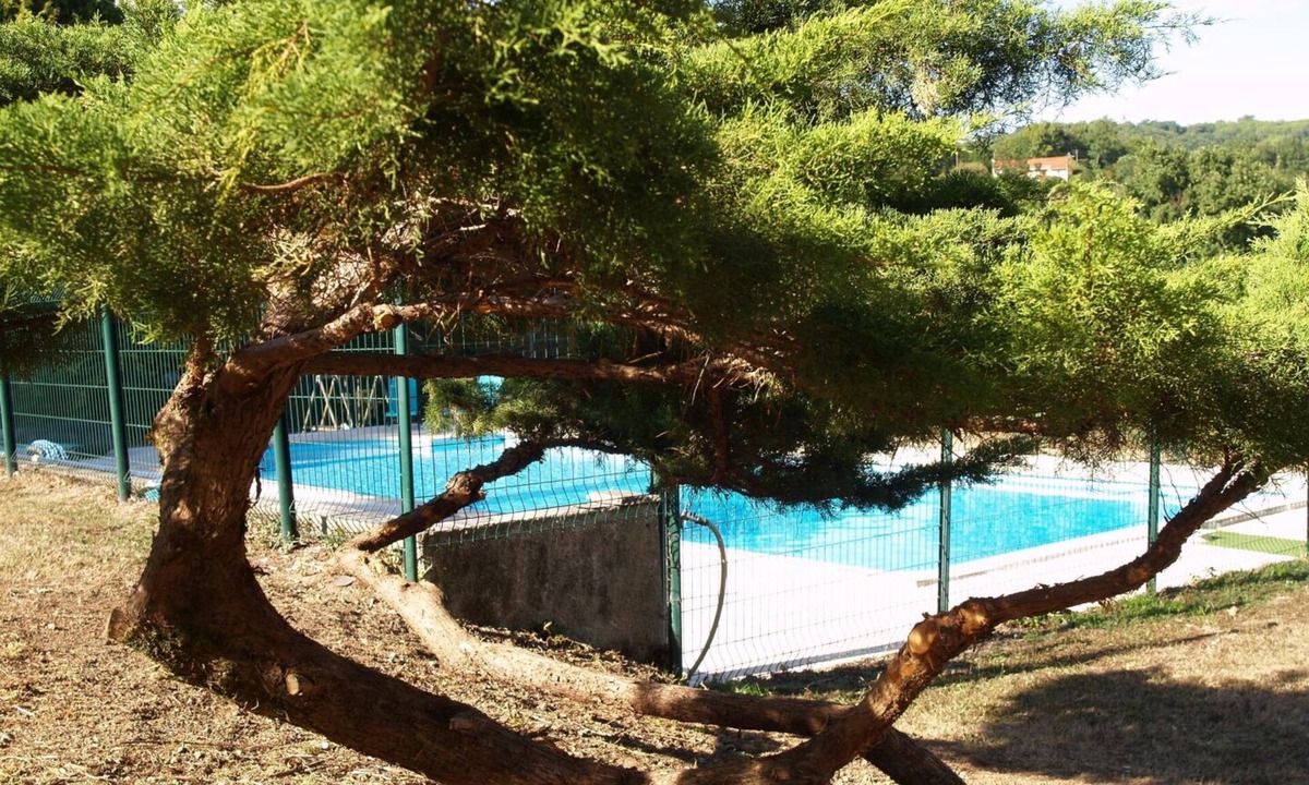 Saint-Salvy-de-la-Balme House | La Garrigue chez Michel