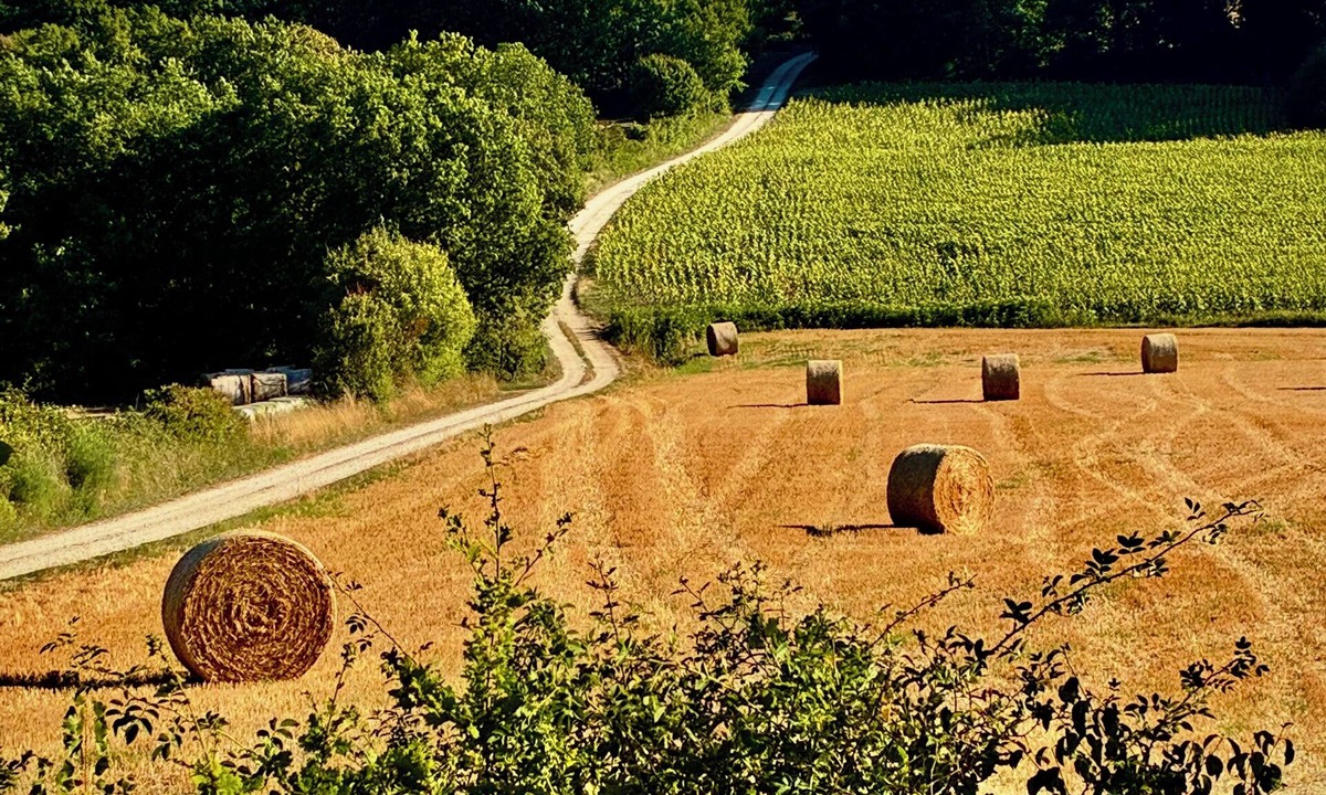 Belveze House | La Grande Rossignol: Swimming pool, spacious rooms & private bath in Occitanie.