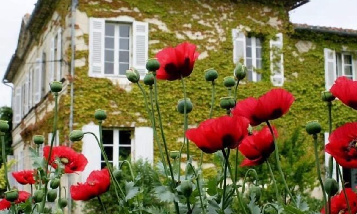 Saint-Yzans-de-Medoc House | La Hourqueyre