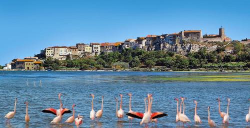 Bages Bed & Breakfast | La Lagune