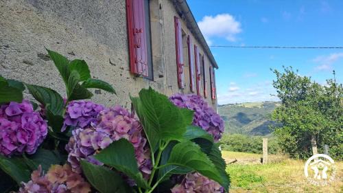 Assac House | La lauziere