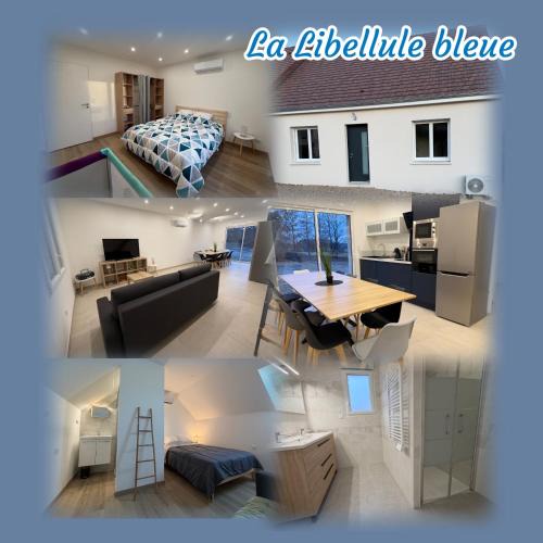 Mareuil-sur-Cher House | La Libellule Bleue