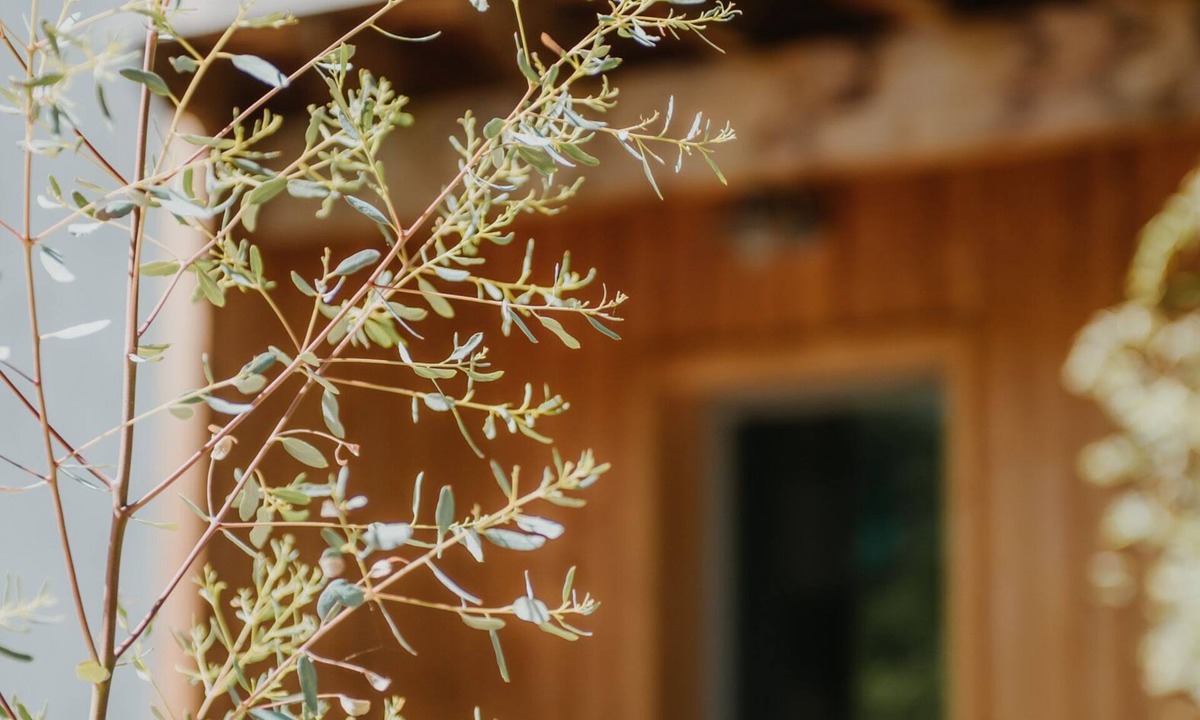 Gap House | La Maison Augustine