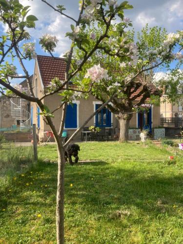 Accolay House | La maison colorée