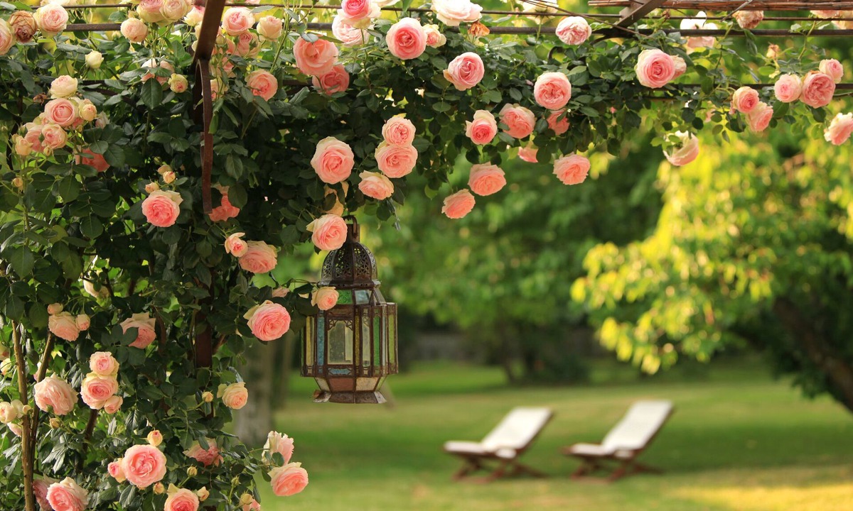 Vic-en-Bigorre Bed & Breakfast | La Maison D'anaïs