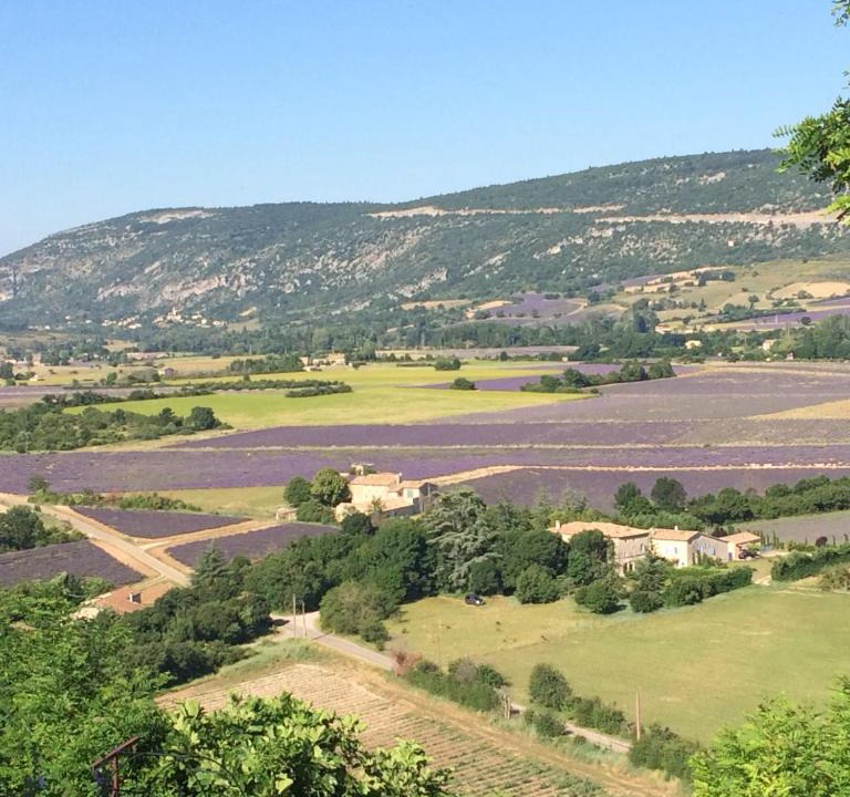 Sault House | LA MAISON D’ALICE