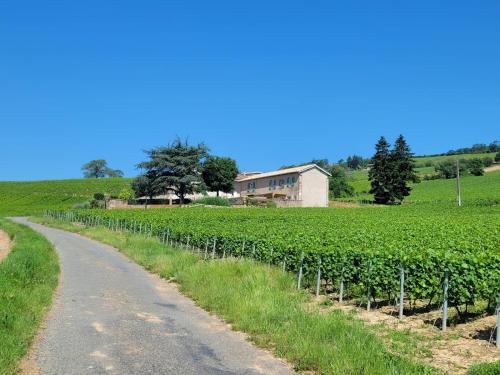 Julienas House | La maison de Bruno