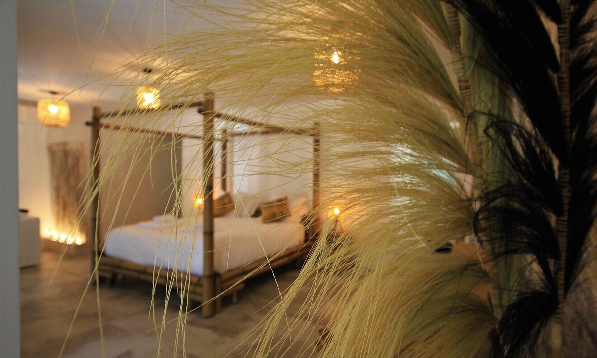Avignon City Centre House | La Maison de l'Olivier
