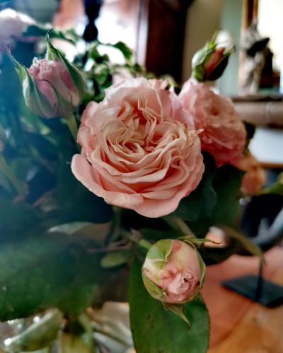 Les Veneurs Bed & Breakfast | La Maison de Ville