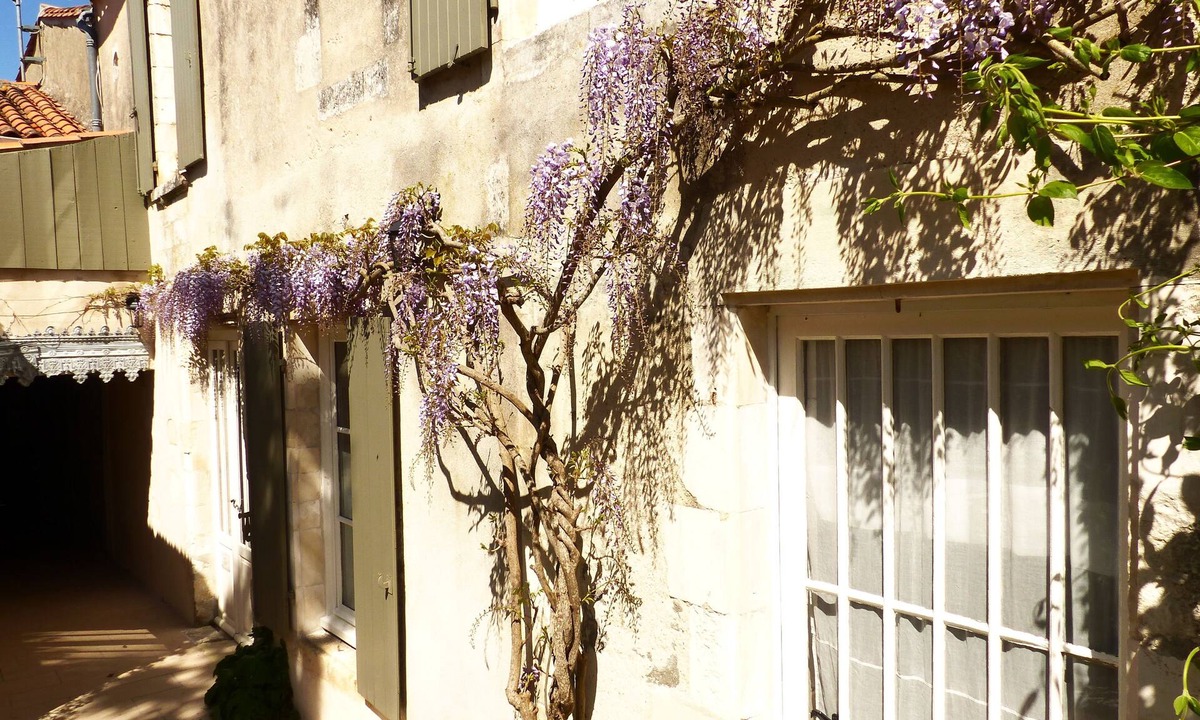 Saint-Martin-de-Re Hotel | La Maison Douce