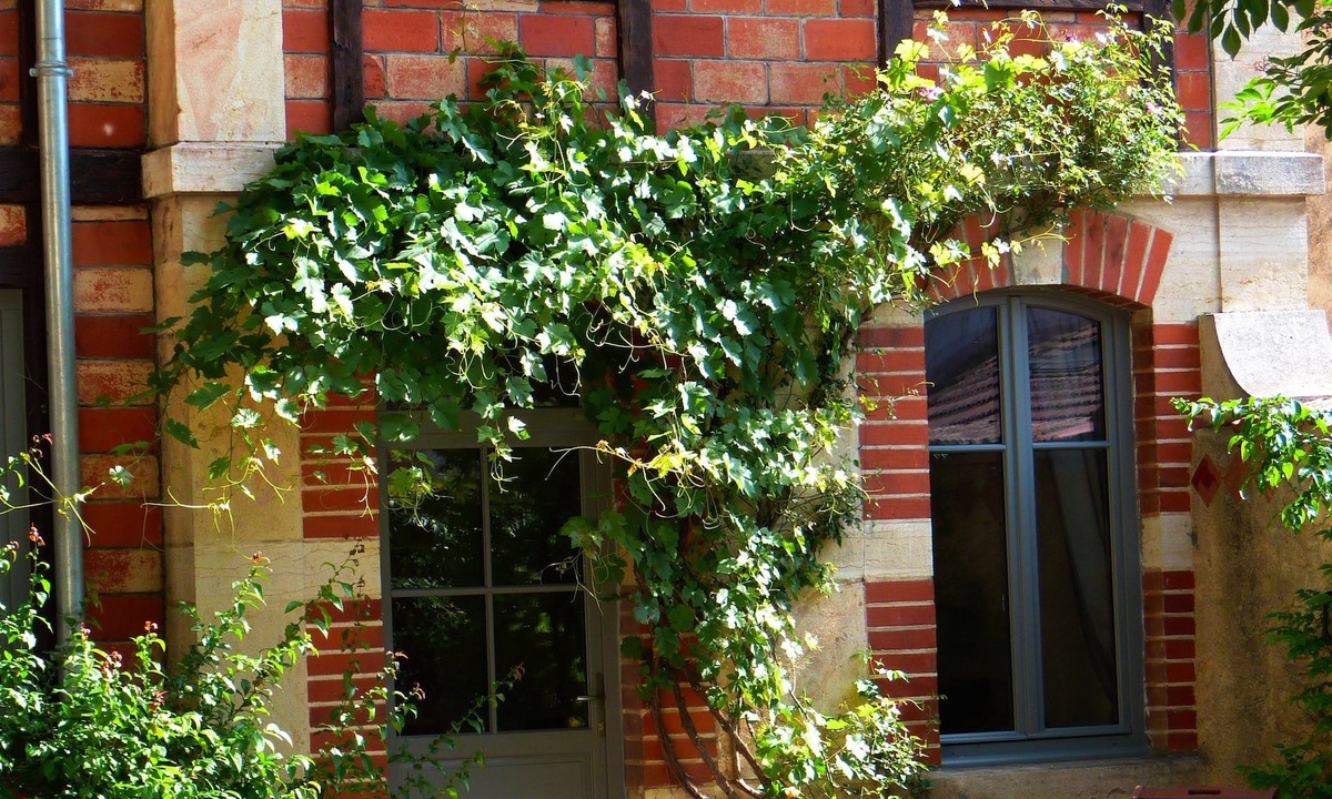 Savigny-les-Beaune Bed & Breakfast | La Maison du Cremant