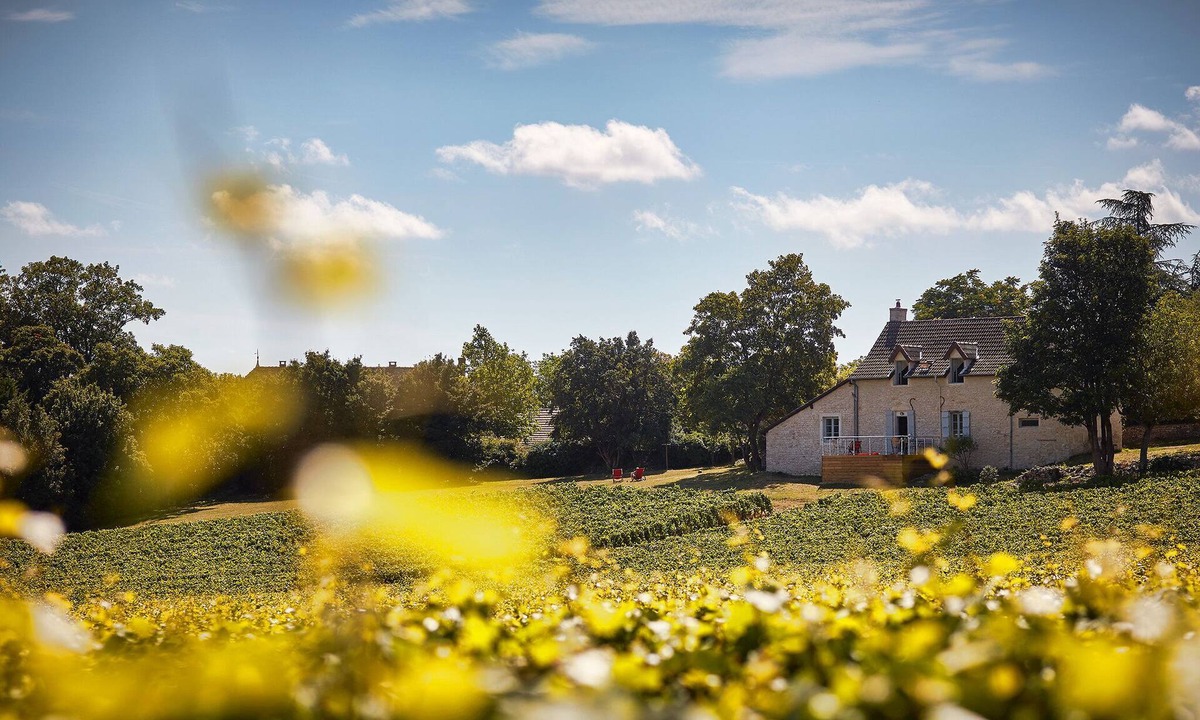 Mercurey House | La Maison du Clos du Roi, stay in the heart of Burgundy's vineyards