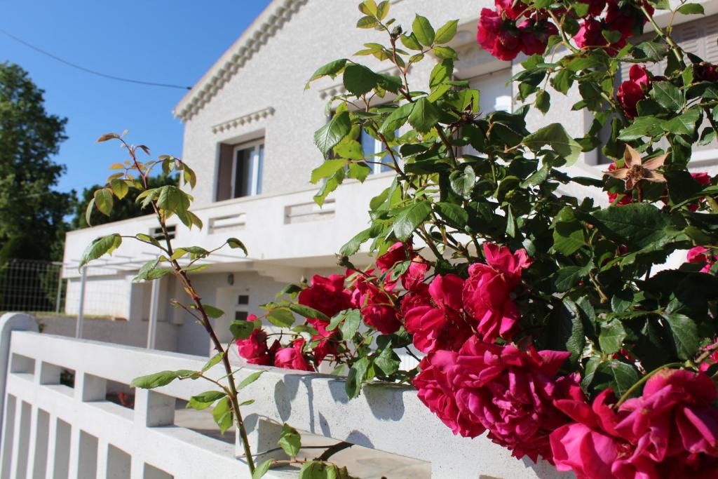 Marges Bed & Breakfast | La Maison Joséphine