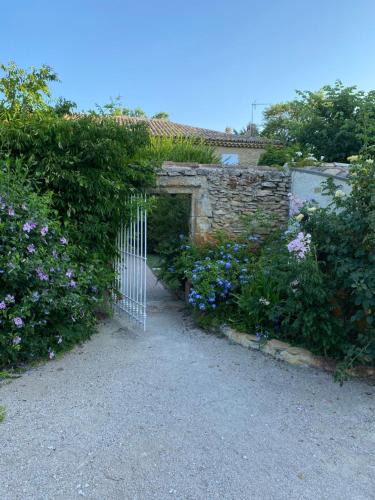 Piolenc Bed & Breakfast | La Mandarine