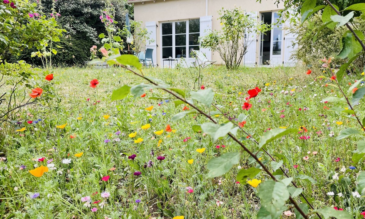 Vernon House | La Mandragora - Atelier d’art et poésie