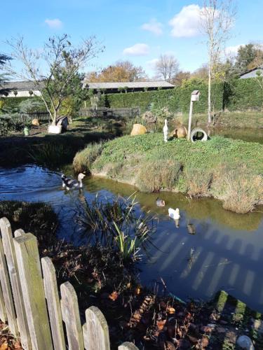 Chateauvieux House | La mare aux canards