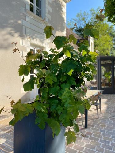 Civray-de-Touraine Bed & Breakfast | La Marmittiere