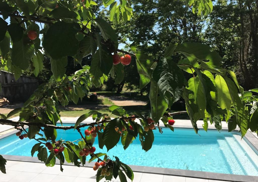 Villefranche-d'Albigeois Apartment | La Merise Gite