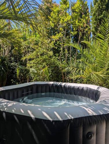 Jonquieres House | La palmeraie en Provence