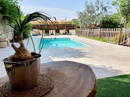Bellegarde House | La Papaye, maison de charme avec piscine et Spa