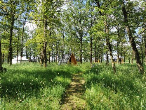 Mesland Other | La Parenthèse Meslandaise