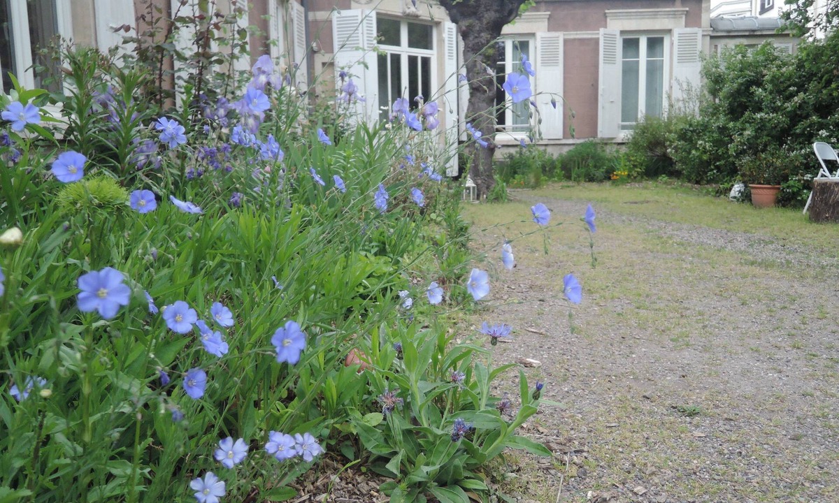 Sablon - Trudaine Bed & Breakfast | La Pause Doree