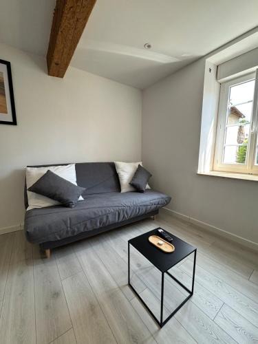 Limoux Apartment | La perle centrale - Studio