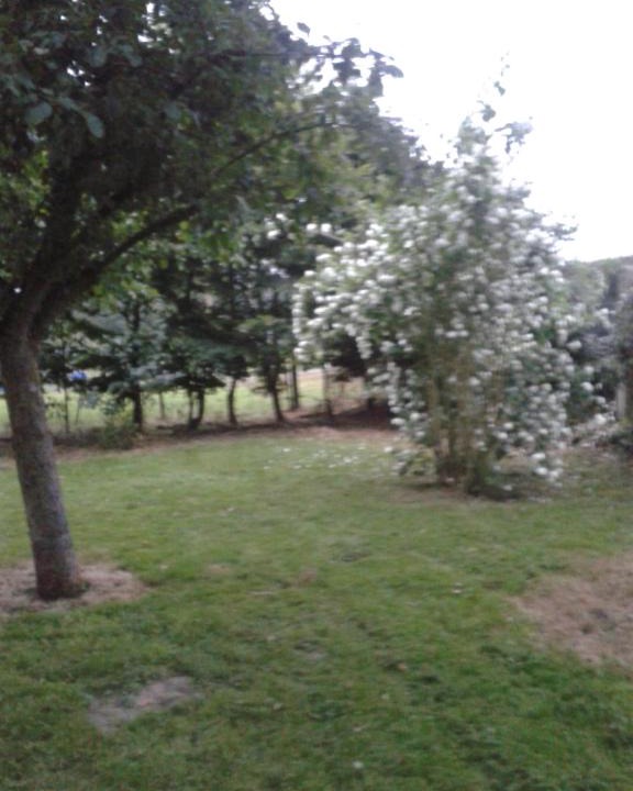 Domvast House | La Petite Chartreuse