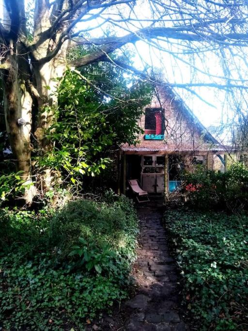 Gueutteville-les-Gres House | La petite maison des grès