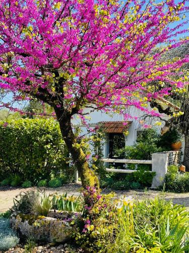 Corme Ecluse Apartment | La Petite Maison