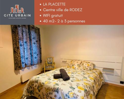 Rodez Apartment | La PLACETTE