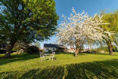 Teloche Bed & Breakfast | La planche pinçon