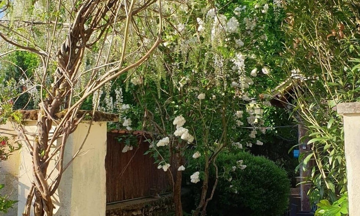 Pouilly-sur-Loire Bed & Breakfast | La Pouillyzotte