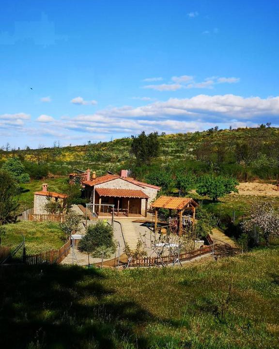 Hoyos House | La rachá