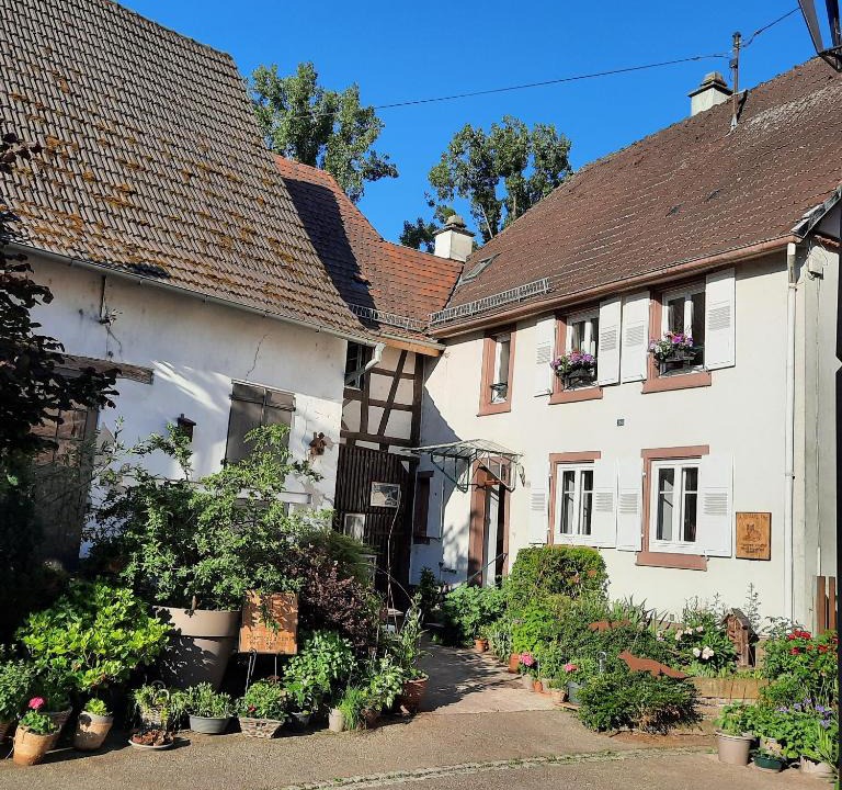 Reichshoffen Bed & Breakfast | La Renardière