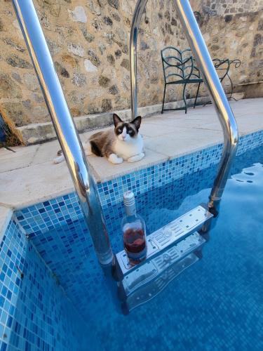 Saint-Pons-de-Mauchiens Bed & Breakfast | La rose du vent