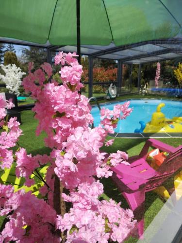 Saint-Priest-des-Champs House | La Roulotte du Parc