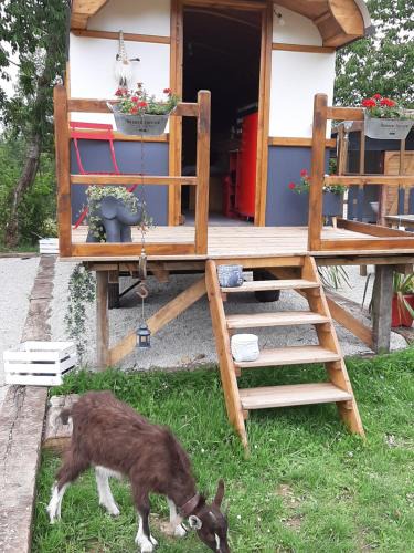 Conde-sur-Vire Other | LA ROULOTTE DE GERMAINE