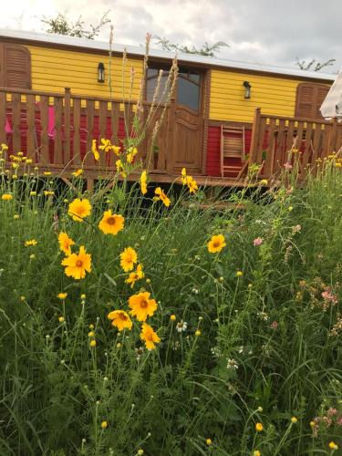 Barrais-Bussolles Bed & Breakfast | la roulotte de l'ami nature