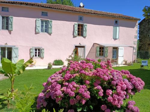 Montastruc-de-Salies House | La salamandre de l'escat