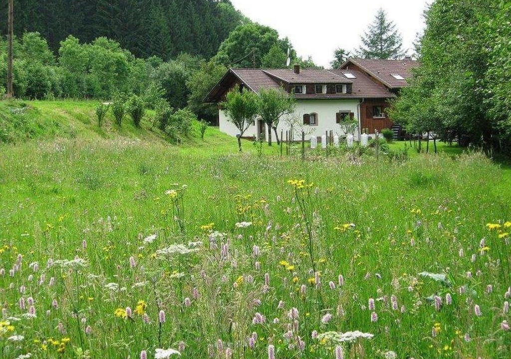 Lubine House | La Scierie