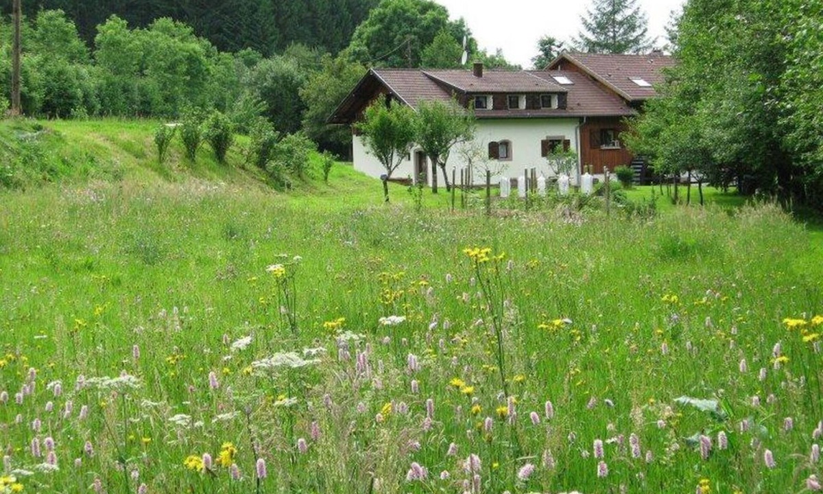 Lubine House | La Scierie