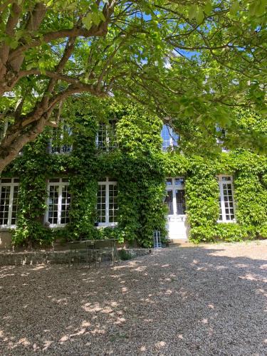 Cany-Barville Apartment | La suite & Caux 2