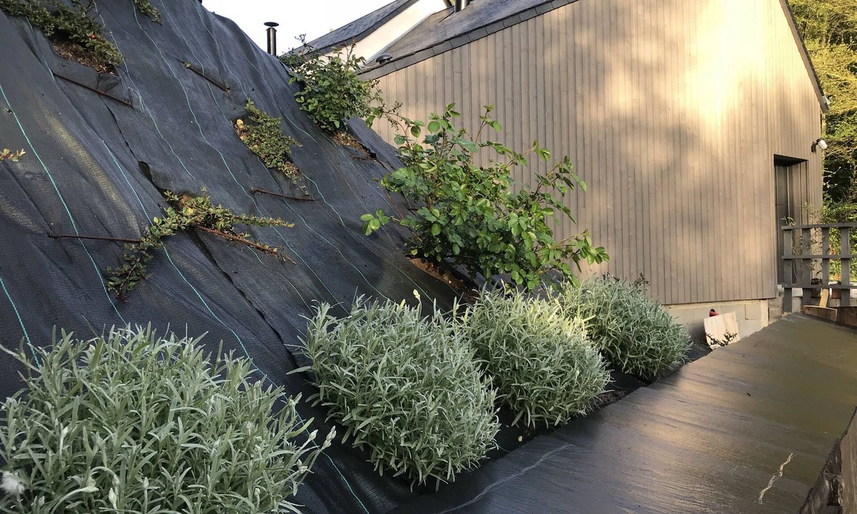 Rochecorbon House | La Suite de Sophie Quiet, modern, spacious gîte.