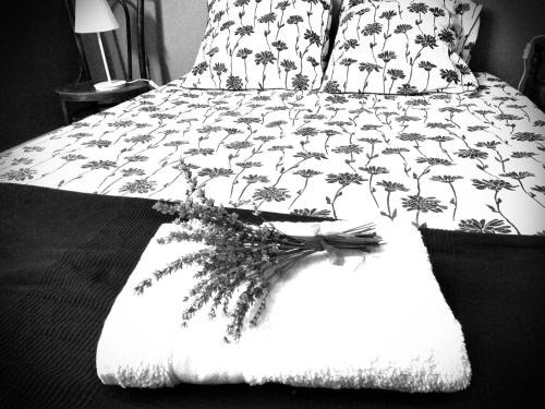 Champs-sur-Tarentaine-Marchal Bed & Breakfast | La tanière