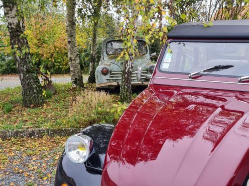 Mirebeau House | La Thibaudière Gite 70m2