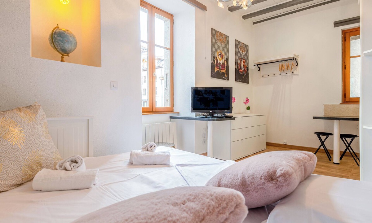 Annecy Old Town Apartment | La Tour Médiévale au centre ville