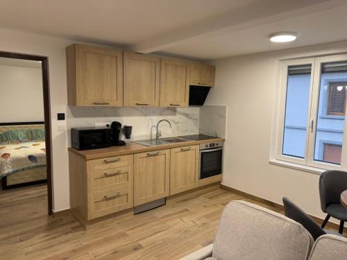 Schiltigheim Apartment | La Tranquillité Citadine